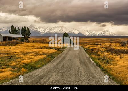 Strada di ghiaia rurale che si snoda attraverso campi dorati in una giornata nuvolosa verso le Alpi meridionali con una spolverata di neve Foto Stock