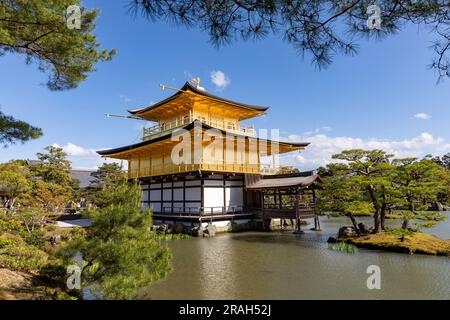 Padiglione dorato a Kyoto, tempio buddista in foglia d'oro, patrimonio mondiale dell'umanità, Giappone, Asia, 2023 Foto Stock