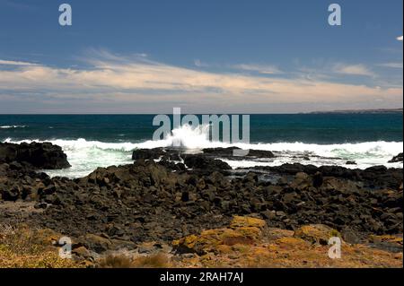 Phillip Island era vulcanica nel lontano passato, quindi ha un sacco di costa nera e rocciosa, con piscine rocciose da esplorare - se riuscite a raggiungerle! Foto Stock