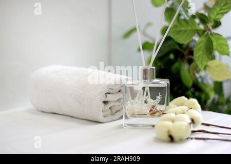 Diffusore per flaconi in vetro trasparente con conchiglie e profumo di cotone Foto Stock
