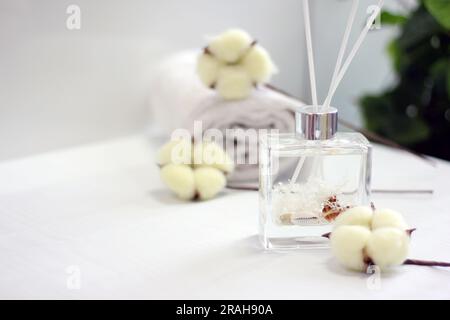 Diffusore per flaconi in vetro trasparente con conchiglie e profumo di cotone Foto Stock