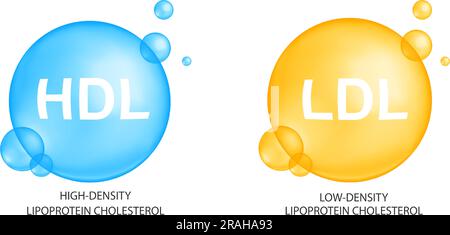 Colesterolo HDL e LDL. Colesterina buona e cattiva. Icone lipoproteiche ad alta e bassa densità isolate su sfondo bianco. Infografica medica. Illustrazione vettoriale Illustrazione Vettoriale