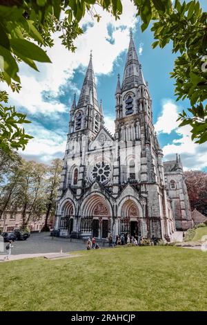 Vista esterna della cattedrale di San fin barre. Cork, Irlanda Foto Stock