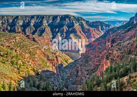 Roaring Springs Canyon, South Rim e San Francisco Peaks in lontananza, vista dalla North Kaibab Trailhead, North Rim, Grand Canyon Nal Park, Arizona Foto Stock