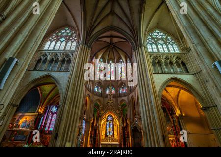 Interno della cattedrale gotica di nostra Signora di Bayonne. La cattedrale è un buon esempio di architettura gotica francese. Paesi baschi, Pirenei Atlantici Foto Stock