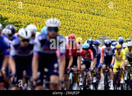 Nogaro, Francia. 4 luglio 2023. L'immagine mostra un campo di girasole durante la quarta tappa del Tour de France, una corsa di 181 km da Dax a Nogaro, Francia, martedì 04 luglio 2023. Il Tour de France di quest'anno si svolge dal 1° al 23 luglio 2023. BELGA PHOTO DIRK WAEM Credit: Belga News Agency/Alamy Live News Foto Stock