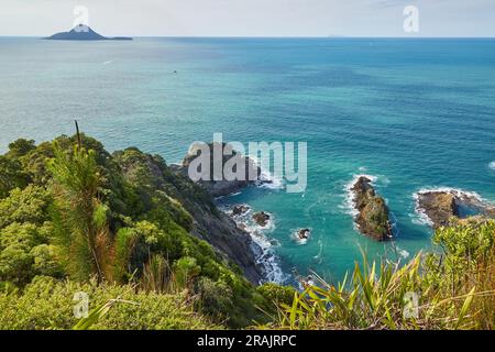 Vista di Whakatane in Nuova Zelanda Foto Stock