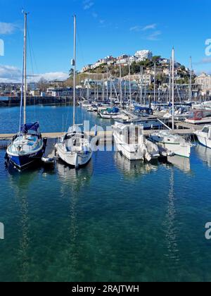 Regno Unito, Devon, Torquay Harbour Foto Stock