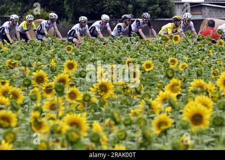 Nogaro, Francia. 4 luglio 2023. L'immagine mostra un campo di girasole durante la quarta tappa del Tour de France, una corsa di 181 km da Dax a Nogaro, Francia, martedì 04 luglio 2023. Il Tour de France di quest'anno si svolge dal 1° al 23 luglio 2023. BELGA PHOTO DIRK WAEM Credit: Belga News Agency/Alamy Live News Foto Stock