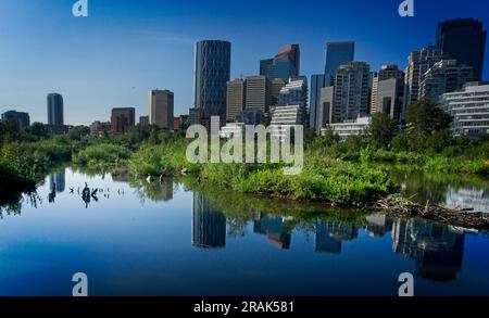 Prince's Island Park Calgary, Alberta Foto Stock