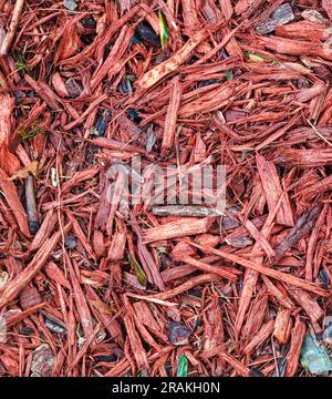 Consistenza di trucioli di corteccia tritati di pacciame di colore rosso Foto Stock