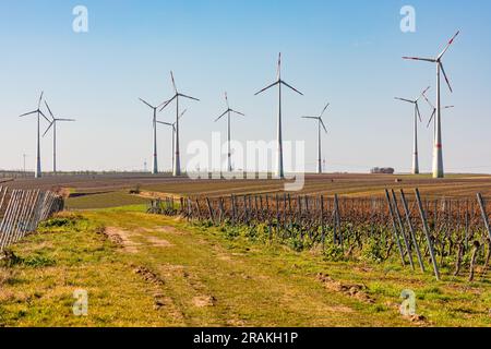 Nella Renania-Palatinato, i vigneti e l'energia eolica condividono la natura rurale Foto Stock