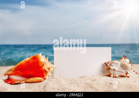 Primo piano di conchiglie sulla sabbia in spiaggia. Mare, nuvole e cielo blu come sfondo. Concetto estivo con spazio copia. Biglietto d'auguri mockup. Foto Stock