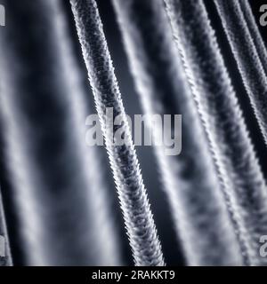 Trefoli di capelli a bassa ed alta porosità, concetto di danno ai capelli Foto Stock