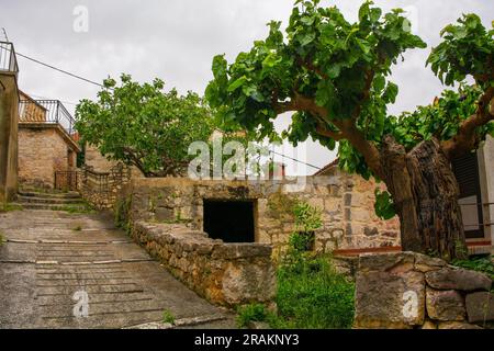 Una strada di case storiche in pietra abbandonate nel villaggio di Loziscz nel centro dell'isola di Brac in Croazia Foto Stock