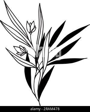 Illustrazione botanica vettoriale, ramoscello con foglie e fiori, contorno e silhouette. Giardino, prato, piante selvatiche raccolte nella collezione di bouquet Illustrazione Vettoriale
