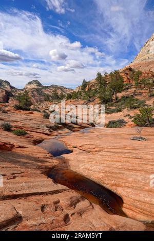 Paesaggio lungo il sentiero delle piscine nel parco nazionale di Zion Foto Stock