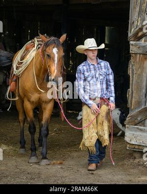 Sam guida il cavallo dal fienile; Dennis Ranch, Red Owl, South Dakota. Foto Stock