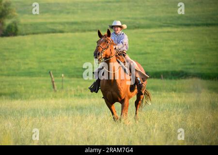 ADA che gestisce il suo cavallo, Dennis Ranch, Red Owl, South Dakota. Foto Stock