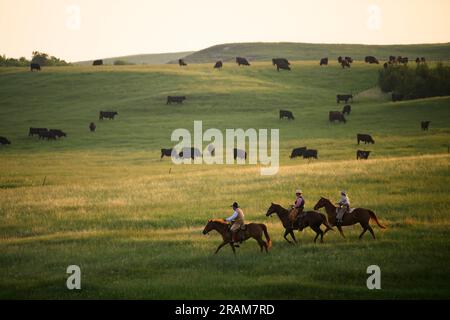 Tornando a casa. Dennis Ranch, Red Owl, South Dakota. Foto Stock