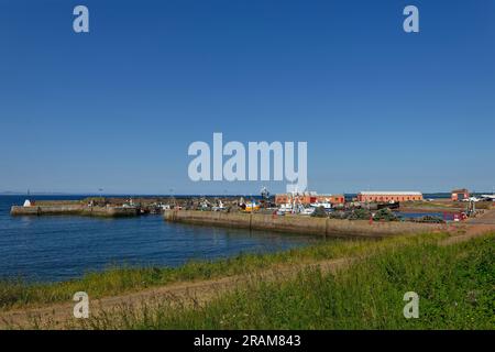 Il piccolo porto di pescatori di Port Seton sul Firth of Forth, con la sua stretta entrata e vasi di granchio e aragosta impilati sul Quayside. Foto Stock