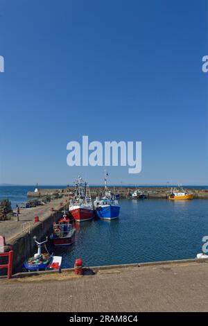 Colorate barche da pesca locali ormeggiate lungo il muro del porto di Port Seton in un luminoso pomeriggio di giugno in Scozia. Foto Stock