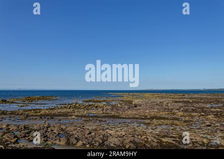 La costa rocciosa di fronte a Seton Sands a Low Tide, con Fingers of Rock che si protende nel Firth of Forth in una giornata di sole a giugno. Foto Stock