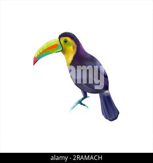 Illustrazione ad acquerello di un esotico uccello tucano isolato su uno sfondo bianco. Elemento di design per biglietti di auguri, inviti di nozze, volantini e ba Foto Stock