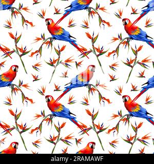 Pappagallo di Macao e strelitzia di piante esotiche. Motivo acquerello senza cuciture su un tema tropicale estivo. Design per tessuti, coperture, striscioni estivi, abiti Foto Stock