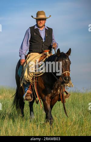 Chance Dennis di Dennis Ranch, Red Owl, South Dakota. Foto Stock