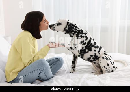 Adorabile cane dalmata che dà la zampa alla donna felice a letto a casa. Adorabile animale domestico Foto Stock