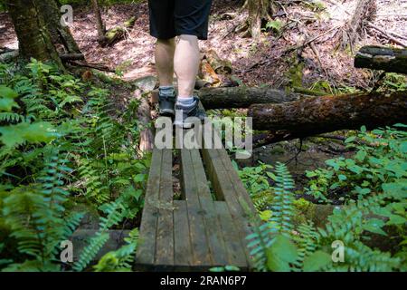 Escursionista su un sentiero che passa per ostacoli nel bosco si concentra su gambe e scarpe da trekking, all'interno del sentiero forestale, copia spazio striscione tema sfondi. Foto Stock