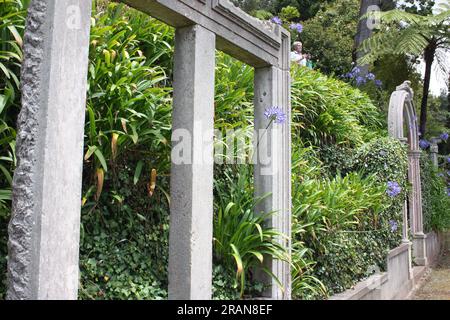 Archi lungo la passeggiata ad arco nei Giardini tropicali di Monte, Funchal, Madeira, Portogallo Foto Stock
