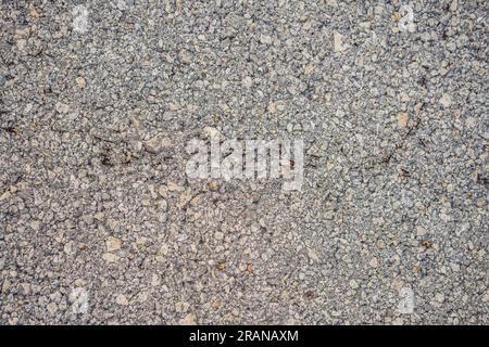 background, formiche sono in esecuzione, problemi con formiche in casa Foto Stock