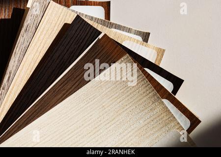 Aprire la guida della pellicola interna del colore campione. Catalogo colori campione Foto Stock