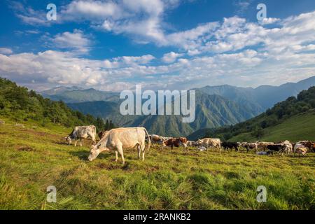 Bocca di Margosio, Bielmonte, biella, Piemonte, Italia, Strada panoramica Zegna Foto Stock