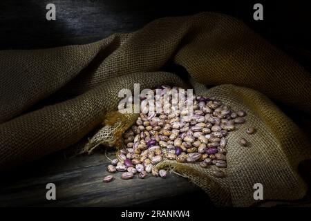 Una natura morta di una pila di fagioli Borlotti crudi, secchi, crudi, crudi, beige e bruni sparsi su una borsa assiana in piscine di luce soffusa con spazio per le copie Foto Stock