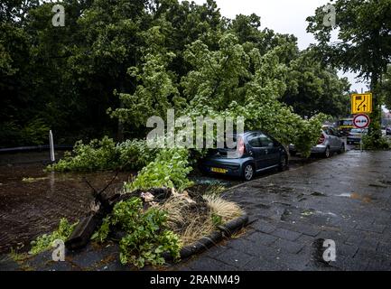 HAARLEM - Un albero caduto su un'auto allo Zaanenlaan di Haarlem. ANP REMKO DE WAAL netherlands Out - belgium Out Foto Stock