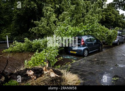 HAARLEM - Un albero caduto su un'auto allo Zaanenlaan di Haarlem. ANP REMKO DE WAAL netherlands Out - belgium Out Foto Stock