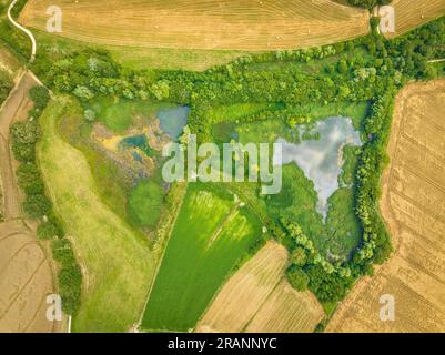 Vista aerea zenithal delle lagune di CAN Morgat e della foresta lungo il fiume accanto al lago Banyoles (Pla de l'Estany, Girona Catalogna) Foto Stock