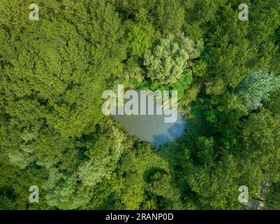 Vista aerea zenithal della laguna di CAN Sisó e della foresta lungo il fiume accanto al lago Banyoles (Pla de l'Estany, Girona Catalogna) Foto Stock