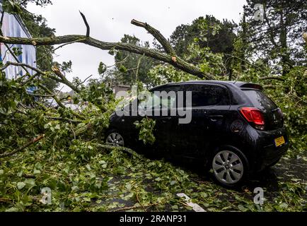 HAARLEM - Un albero caduto su un'auto sulla Marnixstraat ad Haarlem. La prima tempesta estiva dell'anno e la prima nel suo genere dall'agosto 2020 è stata chiamata Poly. Il KNMI ha emesso il codice rosso per una parte del paese. ANP REMKO DE WAAL netherlands Out - belgium Out Foto Stock