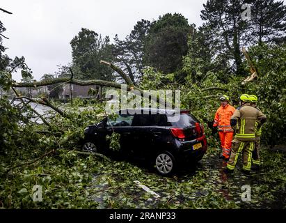 HAARLEM - Un albero caduto su un'auto sulla Marnixstraat ad Haarlem. La prima tempesta estiva dell'anno e la prima nel suo genere dall'agosto 2020 è stata chiamata Poly. Il KNMI ha emesso il codice rosso per una parte del paese. ANP REMKO DE WAAL netherlands Out - belgium Out Foto Stock