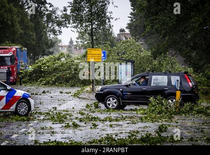 HAARLEM - Un albero caduto su un'auto sulla Marnixstraat ad Haarlem. La prima tempesta estiva dell'anno e la prima nel suo genere dall'agosto 2020 è stata chiamata Poly. Il KNMI ha emesso il codice rosso per una parte del paese. ANP REMKO DE WAAL netherlands Out - belgium Out Foto Stock