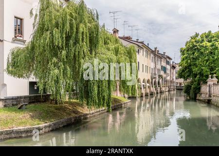 Paesaggio urbano con grande salice piangente e vecchie case con passerella coperta sul canale Buranelli, girato in luce brillante a Treviso, Veneto, Italia Foto Stock