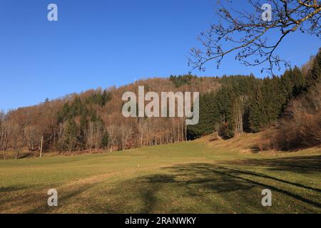 Impressionen aus Schönau im Schwarzwald Foto Stock