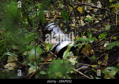 Parte di un razzo nella foresta Ucraina, natura dopo la guerra, detriti di missili Foto Stock