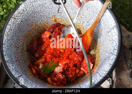 Preparare i Gulya ungheresi in un calderone, Bogracs, in giardino, aggiungendo la polvere di paprika Foto Stock