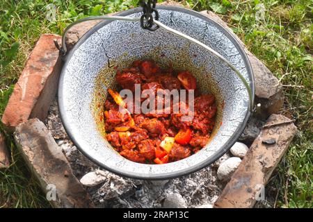 Fabbricazione di Gulya ungheresi in un calderone, Bogracs, nel giardino, Szigethalom, Ungheria Foto Stock