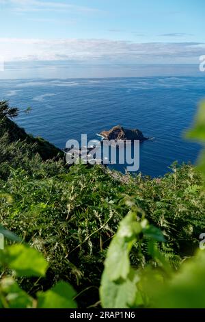 Proprietà vinicola sull'isola di Madeira, Portogallo Foto Stock